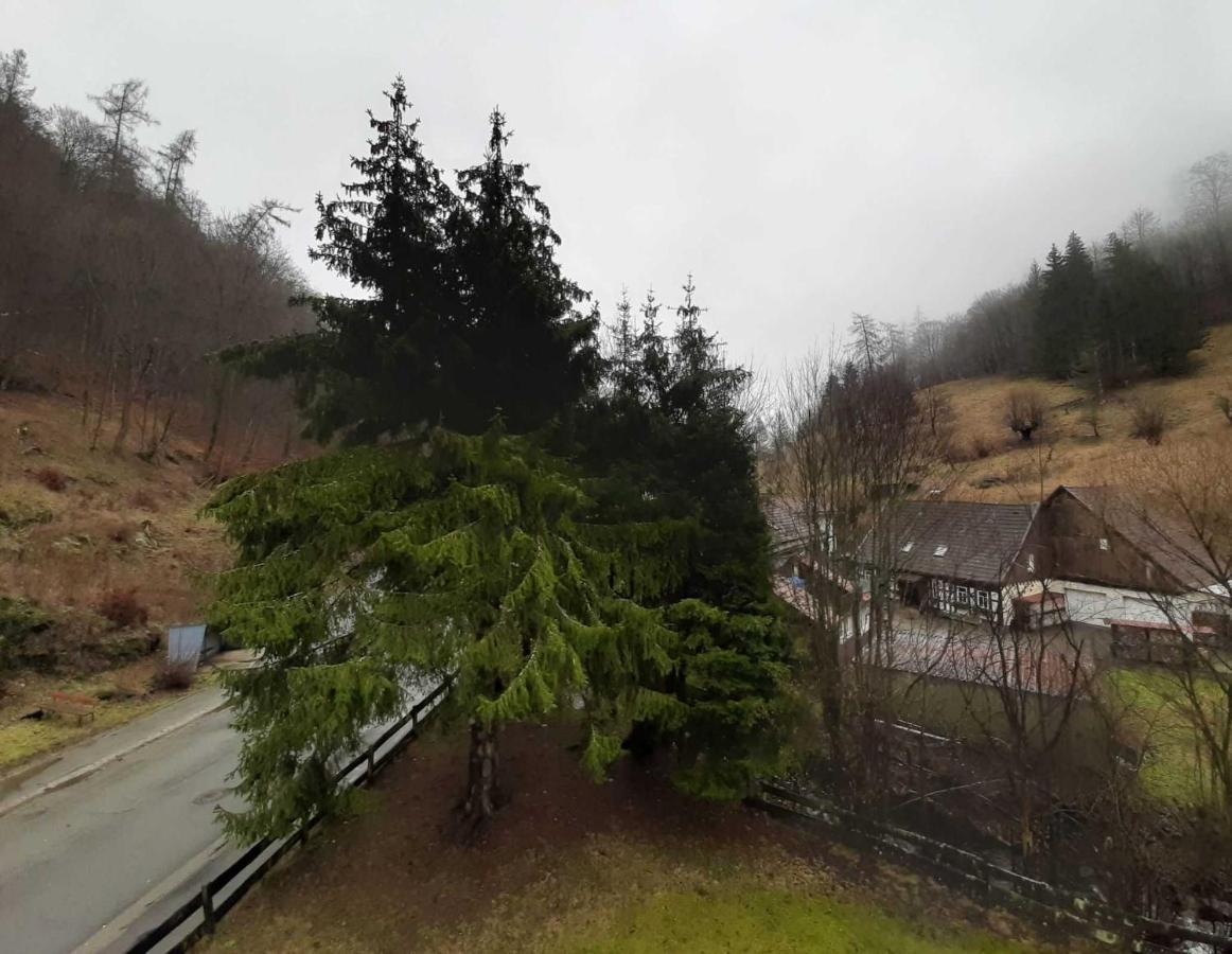 شقة Haus Am Wolfsbach Zorge المظهر الخارجي الصورة